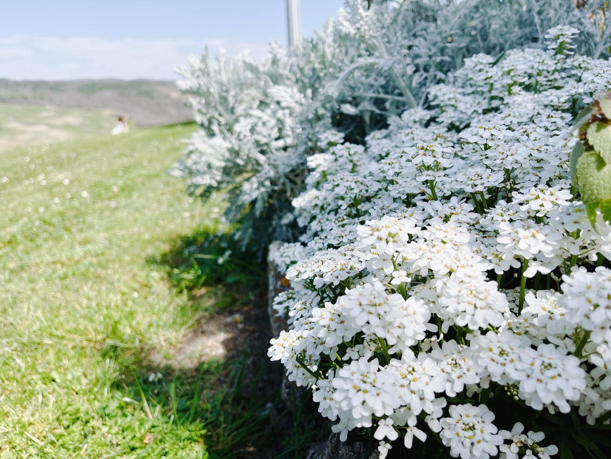 Poggiosalto In Toscana ピエンツァ エクステリア 写真